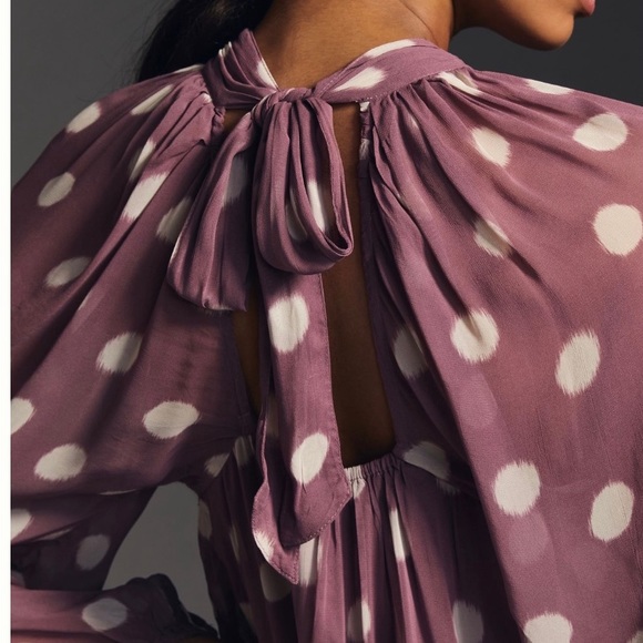 Sold .Anthropologie long sleeve Sheer Dress NWT - Picture 6 of 16